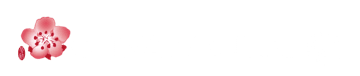 中華航空 China Airlines Logo